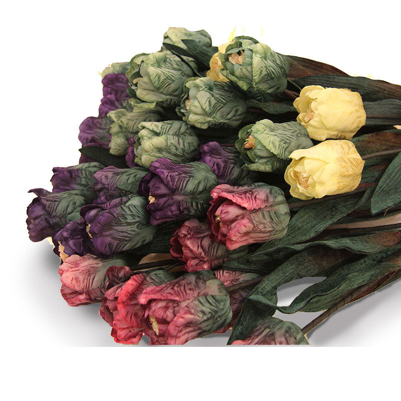 ֪�����滨YJX-003