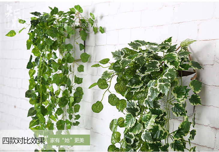 Zhigen hoa nhân tạo cây nho xanh treo tường nho treo nhựa trang trí lá nho ivy treo giỏ hoa - Hoa nhân tạo / Cây / Trái cây cây nhựa trang trí