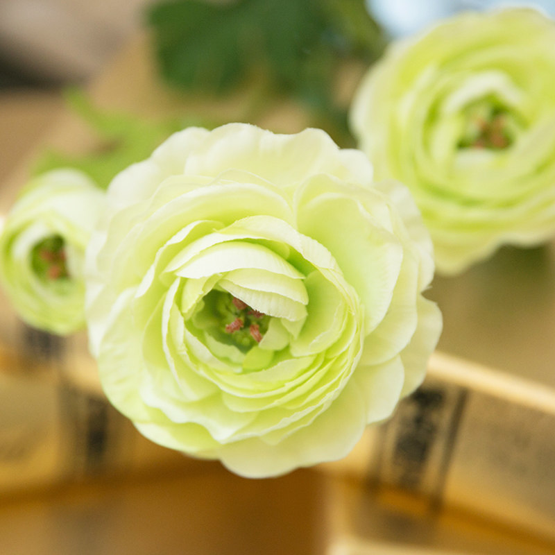 ֪���Ҿ���Ʒ���滨LL-009