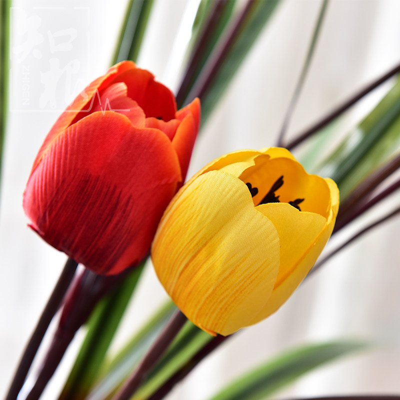 ֪���߷��滨������YJX-008