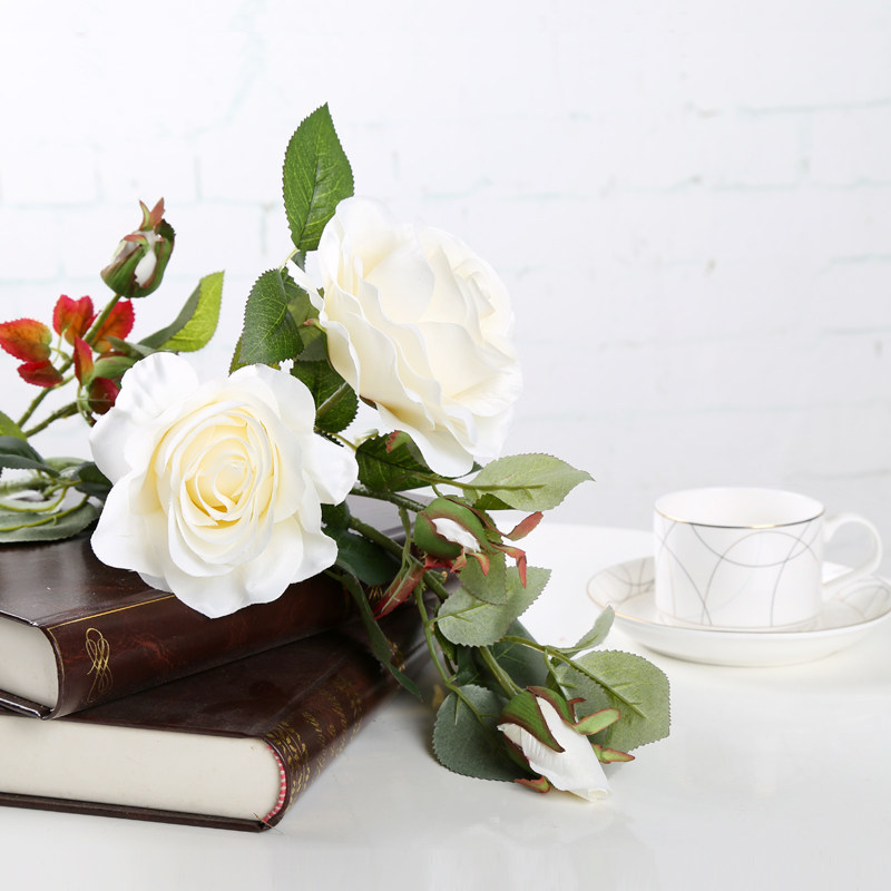 ֪�����滨MG-089