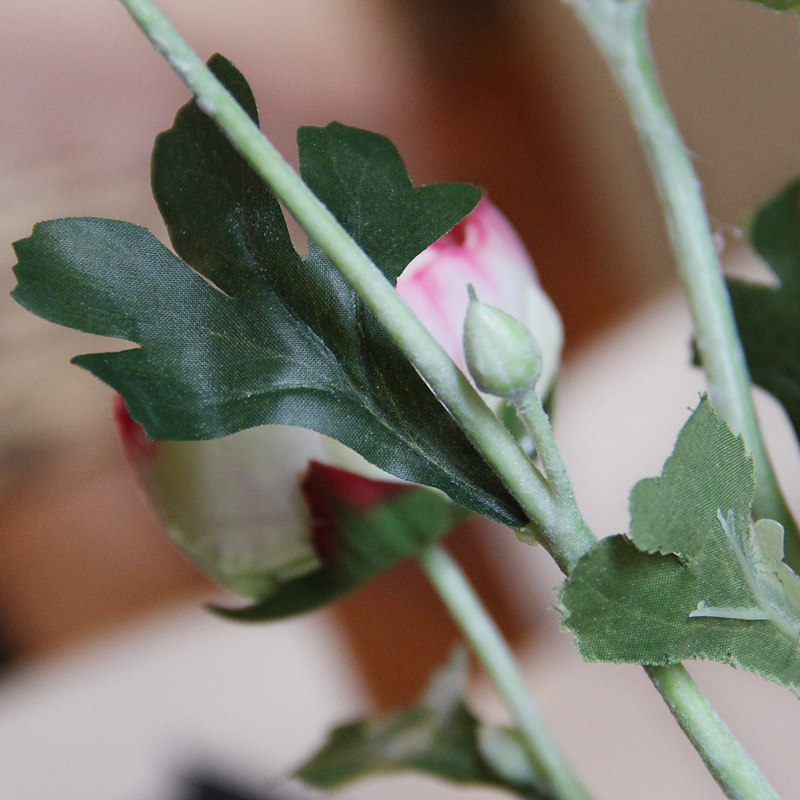 ֪���߷��滨vLL-024