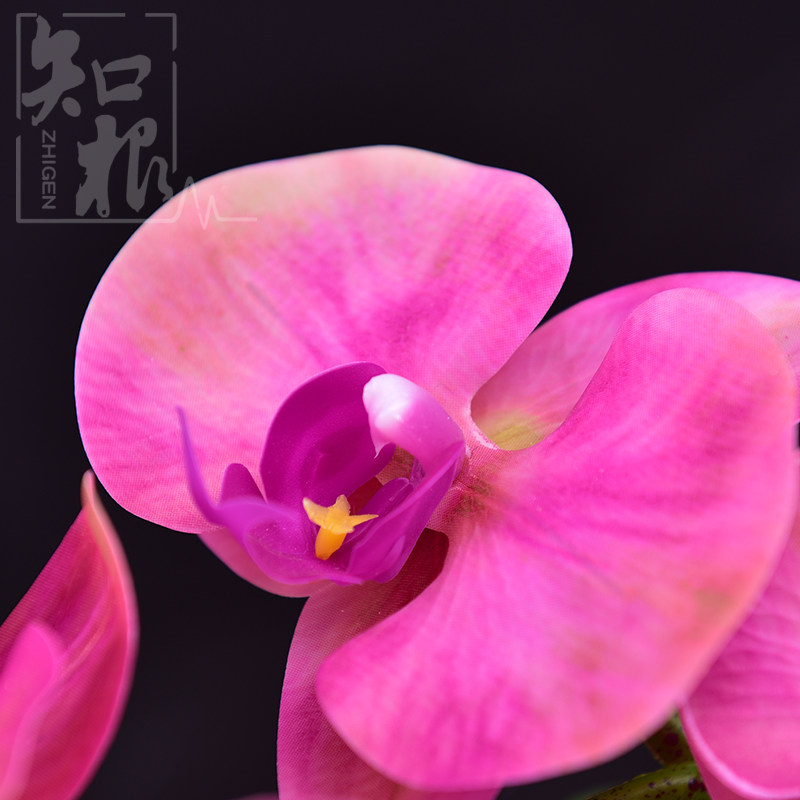 ֪���ٻ�pu������HDL-031