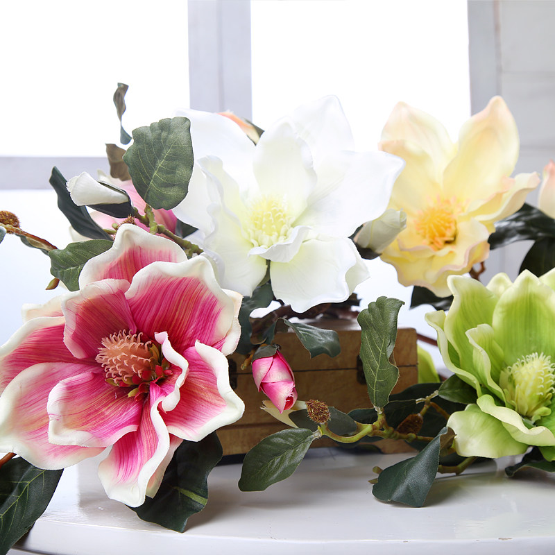 ֪�����滨������YL-005