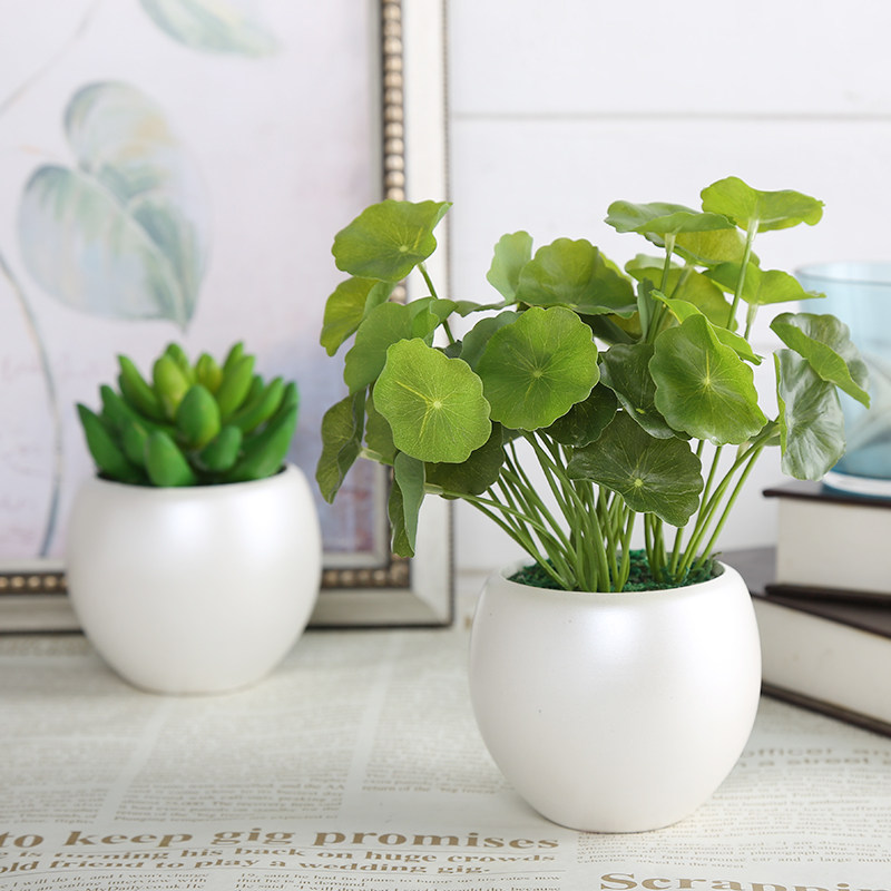 ֪���߷���ֲ���辰TZ-379