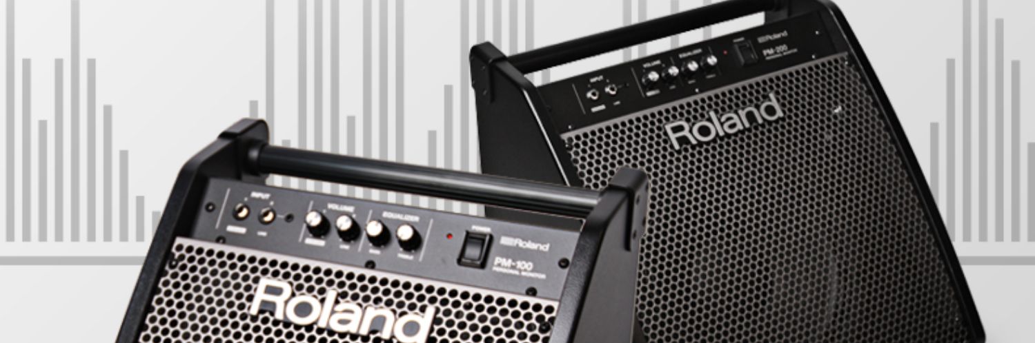 Loa trống Roland Roland Trống loa PM-03 PM100 PM-200 - Loa loa loa vi tính công suất lớn