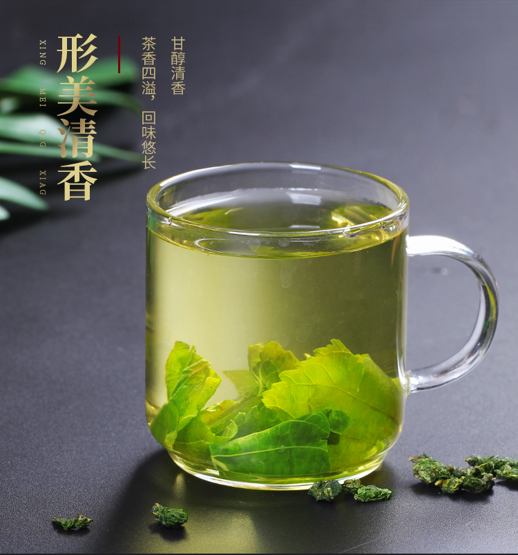 正宗霜桑叶茶500g新鲜桑叶茶