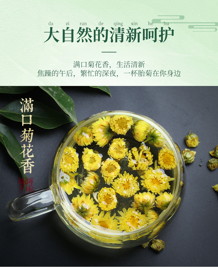 桐乡正宗杭白菊花茶胎菊王