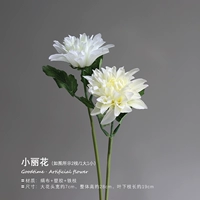 Xioolihua/2 ветви смешанный цвет