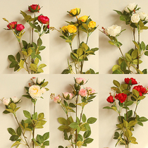 Small tea rose simulation hand holding flower arrangement home wedding photography business living room table ornaments DIY