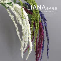 Pterional Vine | Simulation project flower arrangement home wedding photography business living room table ornaments DIY