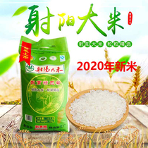 2020 new rice Sheyang rice 20 pounds Jiangsu Yancheng Sheyang Rice Wuyu Japonica No 3 Jiangsu rice