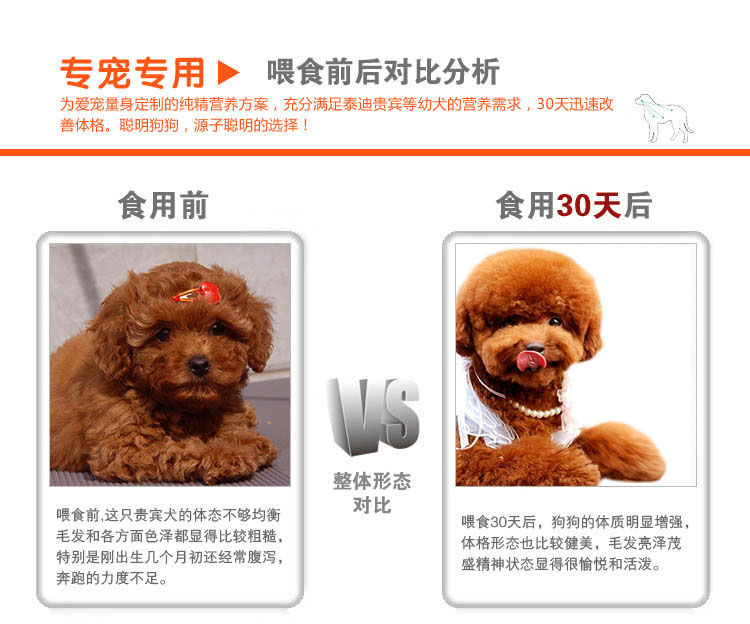 Aobei Jinmao Teddy Samoyed dog thức ăn cho chó con mục đích chung là thức ăn cho chó lông 40 kg 20kg VIP Oubei - Chó Staples hạt cho poodle