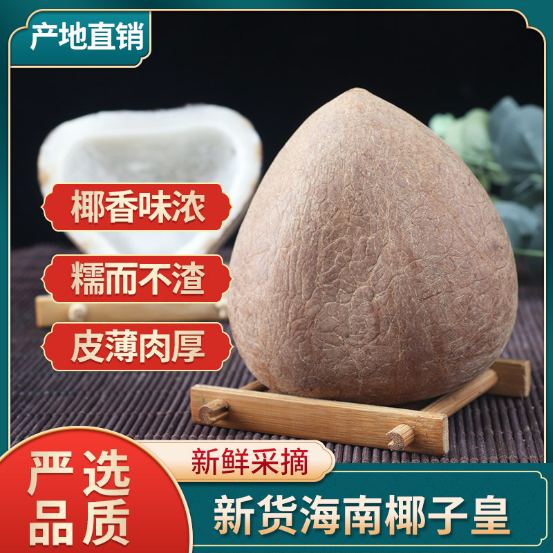 椰子皇甜品界天花板！海底椰皇+青王干椰肉，炖汤糖水一绝！-椰青-淘宝好物网