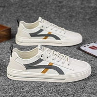 Rice Grey Abricot (модная модель)