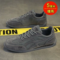 Серый (подушка высоты)