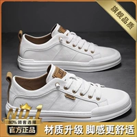 Белый коричневый (флагман)