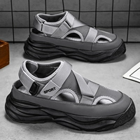 Серый (дикая модель)