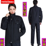 Осенний комбинезон, комплект, униформа, демисезонная толстовка, осенний сезон