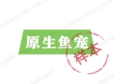 原生鱼宠的LOGO