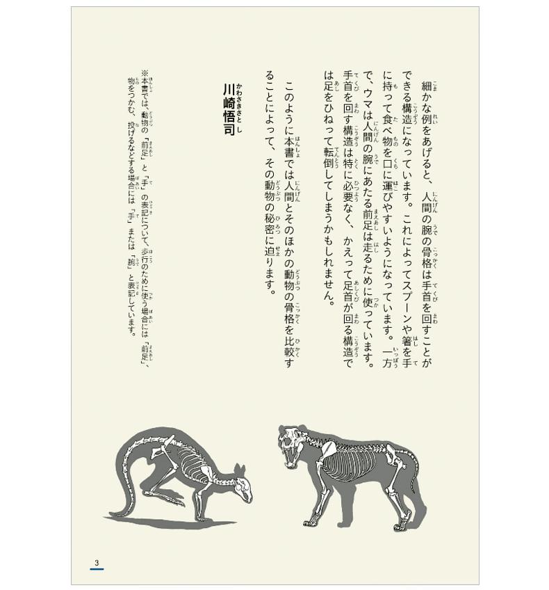 現貨日版 骨架對比川崎悟司動物圖鑑骨格進口日文原版圖書