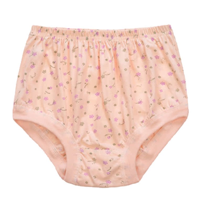 Đặc biệt hàng ngày tăng 100% cotton kích thước lớn đồ lót nữ cao eo trung và tóm tắt cũ quần short cotton cũ đồ lót ibasic