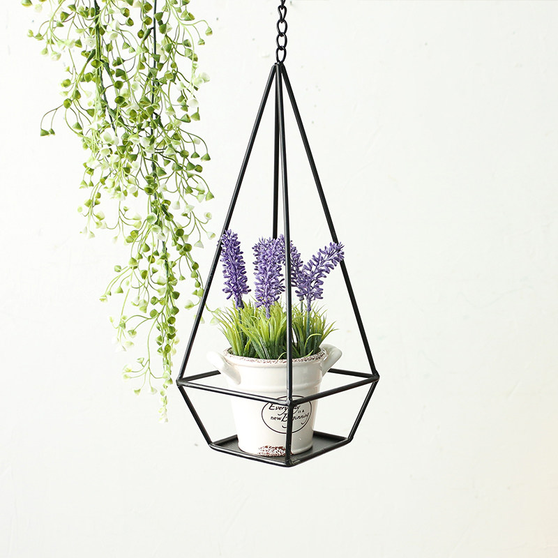 ��ĽС�����������ջ���