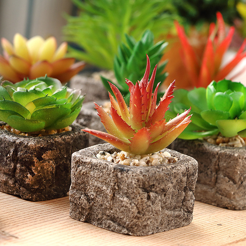 ��ĽС������