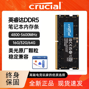 Ин Руида DDR5 4800/5600 16G 32G48G6 4г ноутбук озу полосатый совместимый samsung море люкс