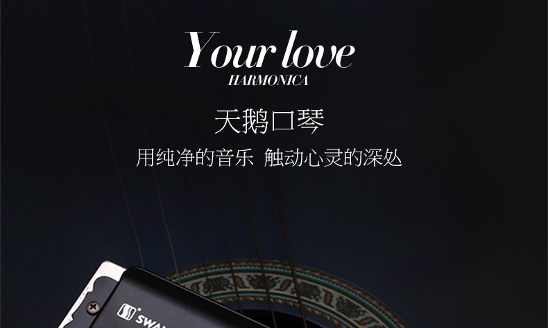 Swan Harmonica 12 lỗ 48 âm sắc quy mô c Harmonica trẻ em trưởng thành cạnh tranh chuyên nghiệp chơi nhạc cụ thực hành - Nhạc cụ phương Tây đàn guitar fender
