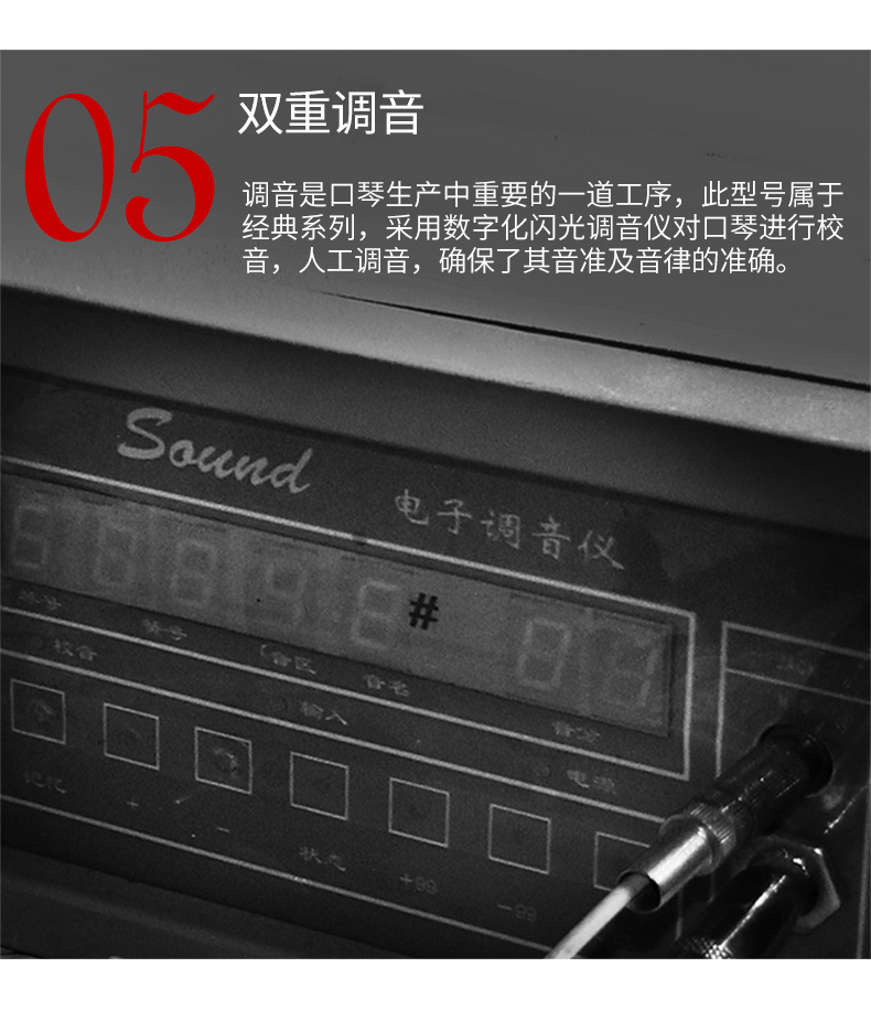 Swan Harmonica 12 lỗ 48 âm sắc quy mô c Harmonica trẻ em trưởng thành cạnh tranh chuyên nghiệp chơi nhạc cụ thực hành - Nhạc cụ phương Tây đàn guitar fender