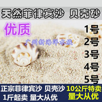 Fraser fish tank bottom sand shell sand coral sand sea sand Philippine sand fish tank landscaping cichlid hermit crab sand