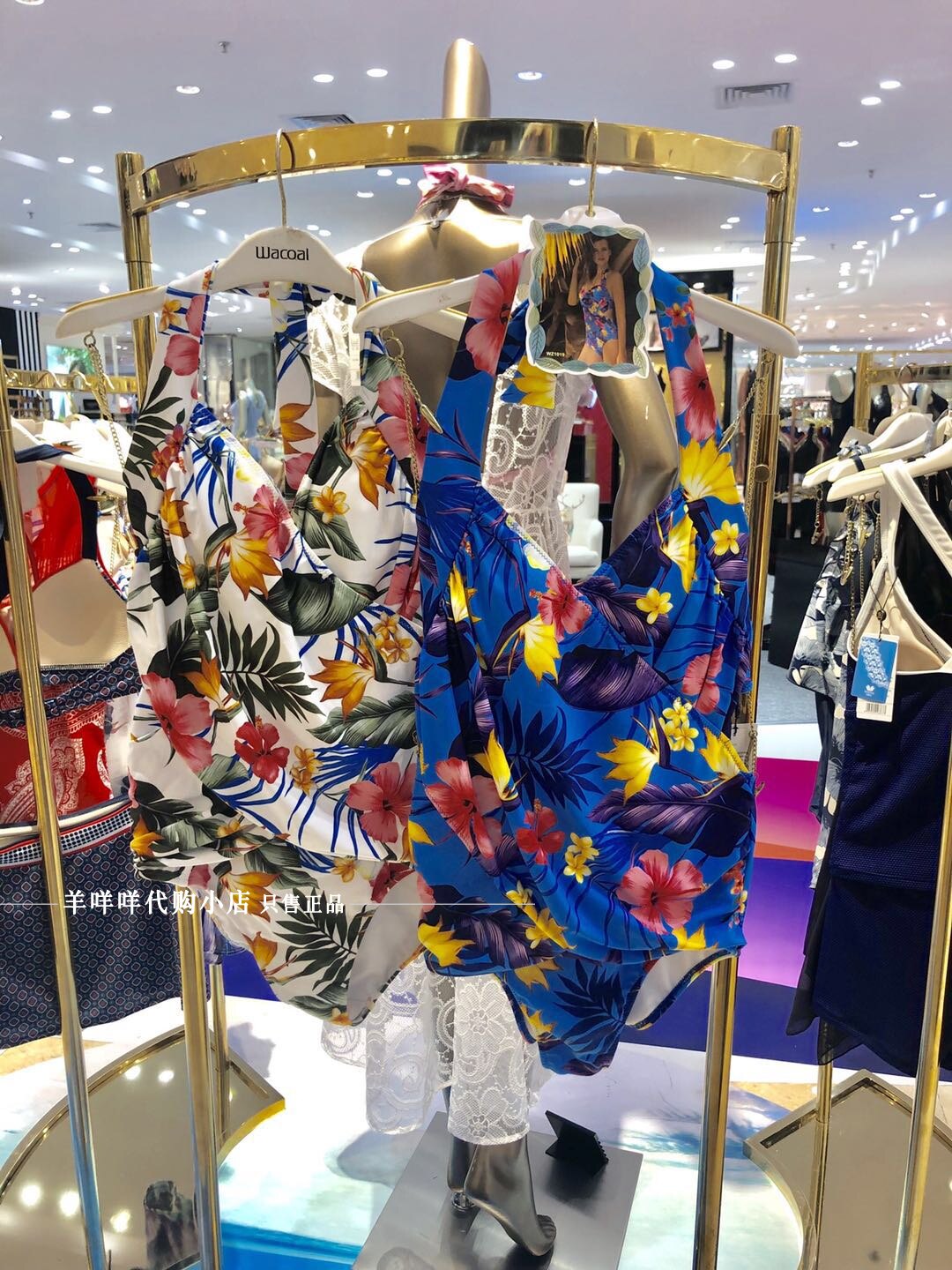 Wacoal Color Sexy Hollow Back Gathered Up Support One Piece Hip Swimsuit WZ1019 Domestic