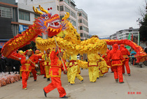 Golden dragon Dragon dance props Dragon dance Lion dance competition costume 9 dragon dance lamp Oxford cloth bronzing dragon