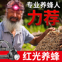 Red light induction headlight beekeeping special red LED light rechargeable super bright bee head-mounted flashlight