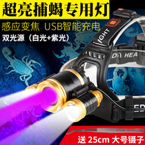 Induction of Scorpion lamp special catching scorpion lamp strong light charging catching and catching arrest scorpion purple lamp super bright head