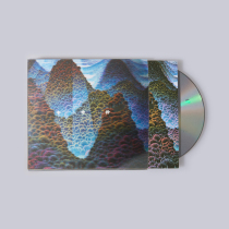 Black glue box disconsolate the original CD of "100000 whys"