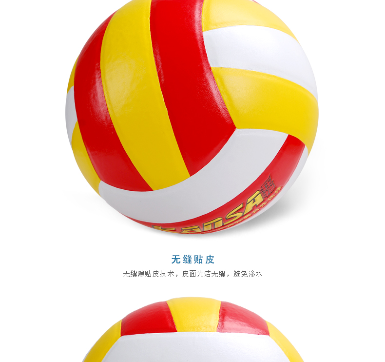 Ballon de volley - Ref 2007895 Image 19