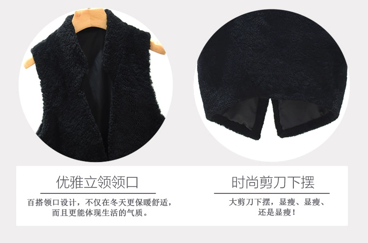 Phiên bản Hàn Quốc của ulzzang vest nữ mùa thu đông hoang dã vest dài vest vai cừu xé áo không tay áo kiểu trung niên hàn quốc