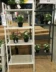 IKEA mua trong nước Le Berg kệ tủ hoa kệ lưu trữ giá sáng tạo phân vùng sơn chính hãng - Kệ