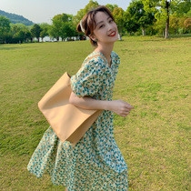 Broken Flowers One-piece Dress 2022 Summer New Little Sub Light Skillet Style Minus department Platycoon Dont make a dress