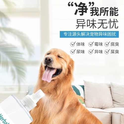 ПЭТ -дезодоризирующие брызговые кошки и собаки, универсальные для мочи мочи кошки, кошачий песок. Ориентирующее в помещении бактериостатическое разложение в помещении.