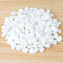 Cobblestone Raindstone Multimeat Potted potted patio Courtyard Landscaped White Stone flowerpots decorated with natural white small stones