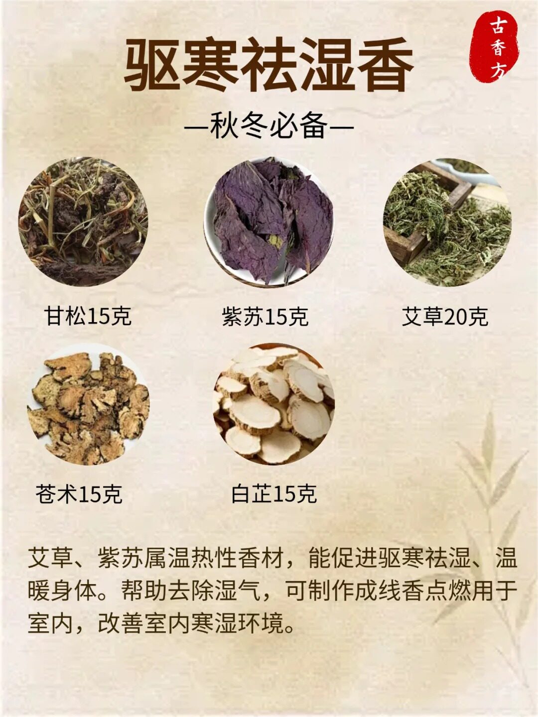 驱寒祛湿香，告别湿气困扰！ - 闲唠八卦 - 淘江湖