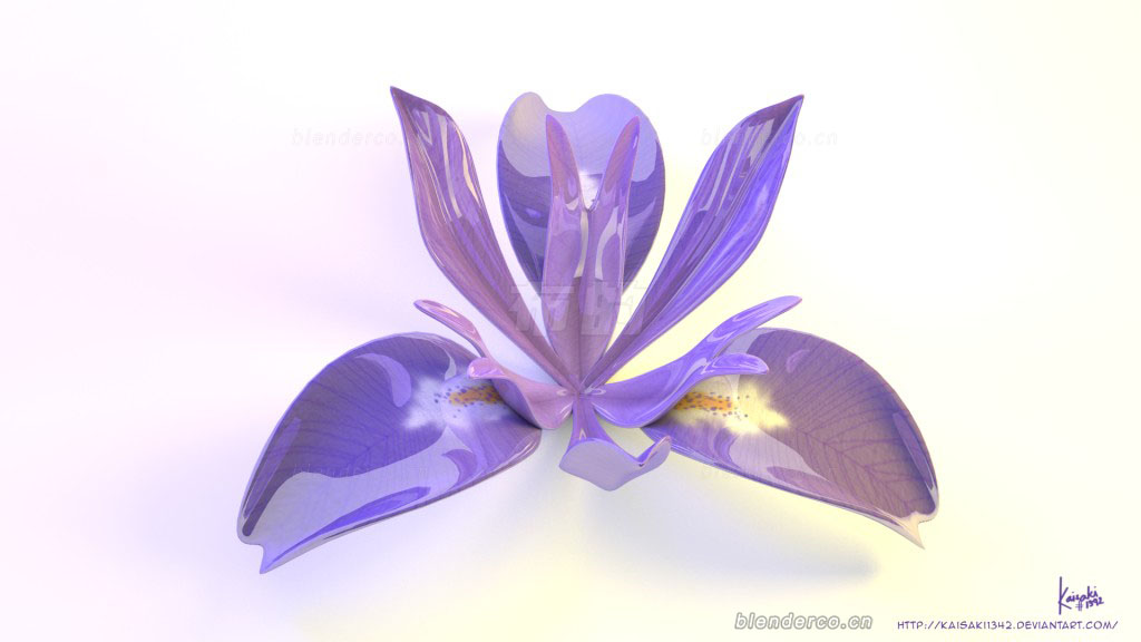 blender花朵花瓣模型鲜花blender布的