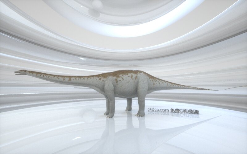 Apatosaurus 迷惑龙.jpg
