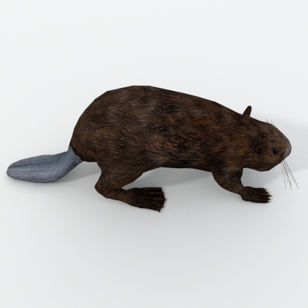 beaver.png