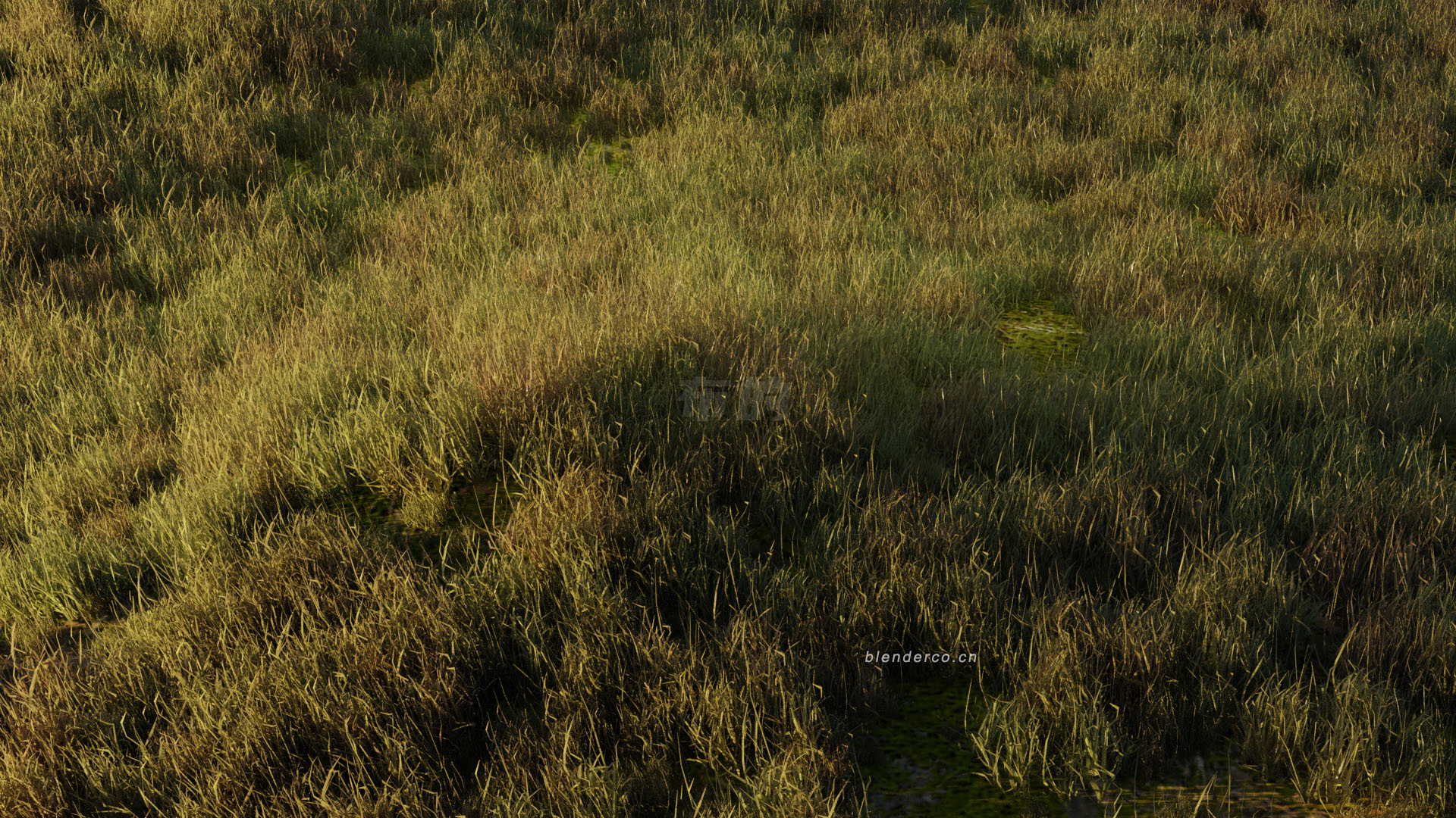 simple-realistic-grass.jpg