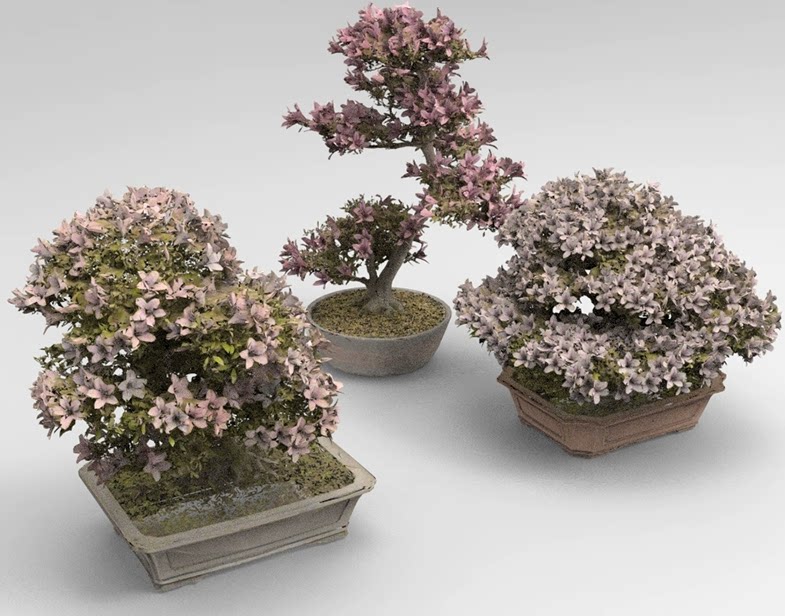 C4D FBX STL OBJ SU Blender盆栽盆景植物鲜花景观花朵三维3D模型