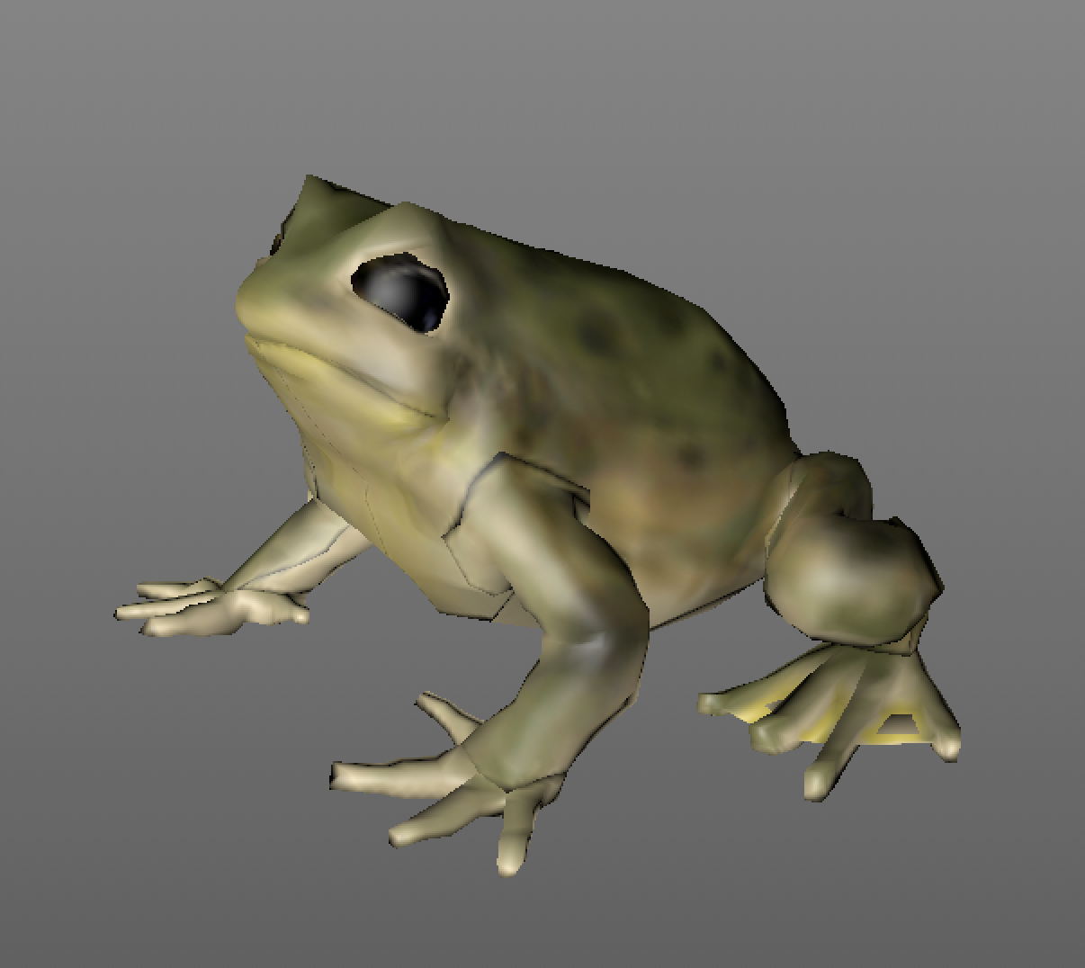 Warty frog.png